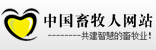 ˽ԭՈ(qng)c(din)朽